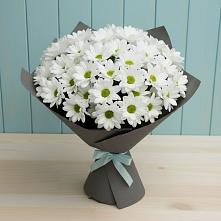 Букет белые хризантемы в Алексее-Тенгинской Букет цветов из:  Хризантемы в Алексее-Тенгинской